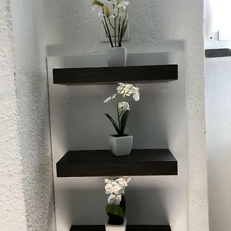 Station Between Dragon&triple Bridges * Ljubljana