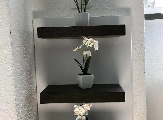 Station Between Dragon And Triple Bridges * Ljubljana